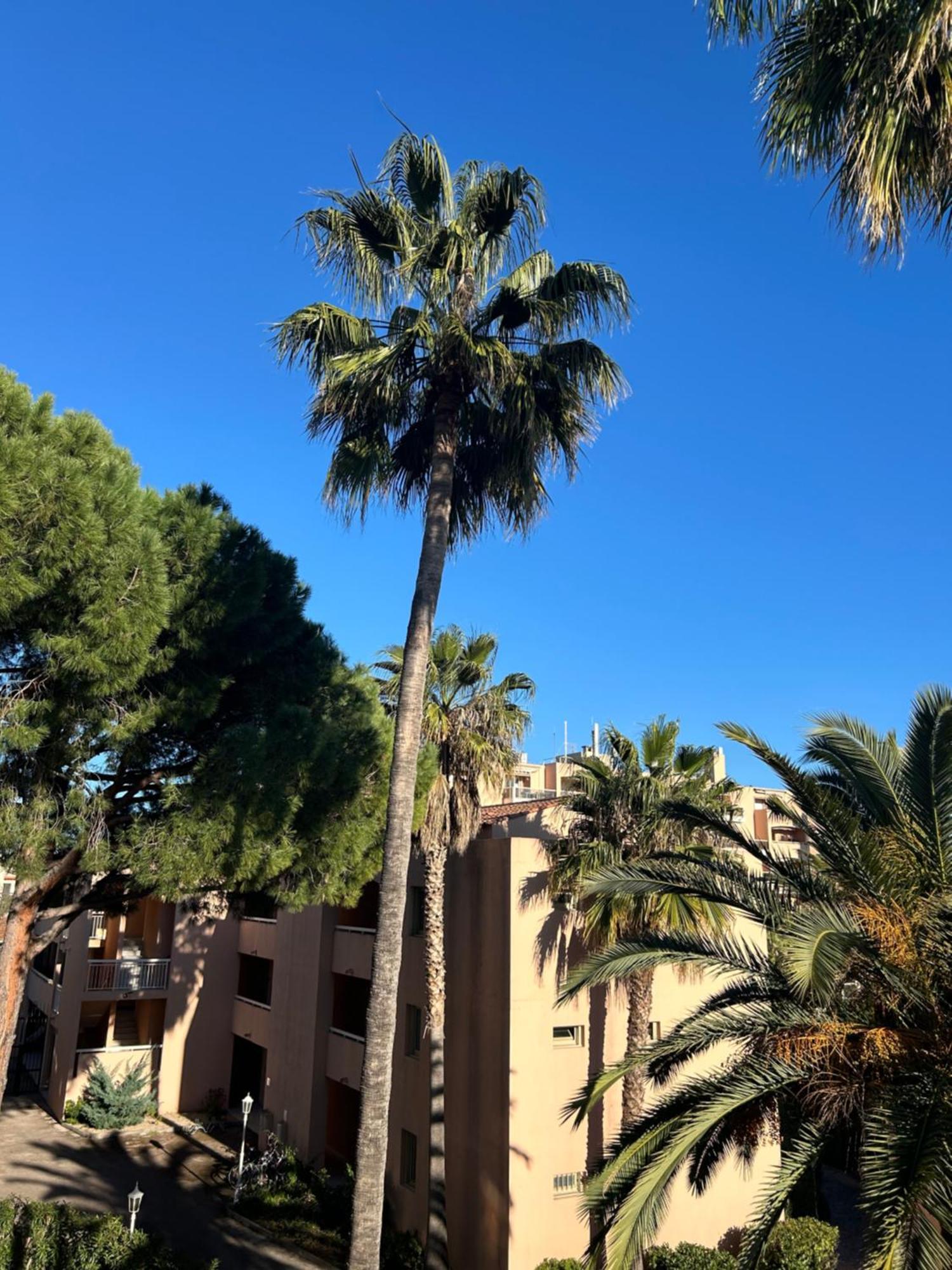 Golfe Juan Joli F2 Clim Piscine A 5 Minutes De La Apartment *